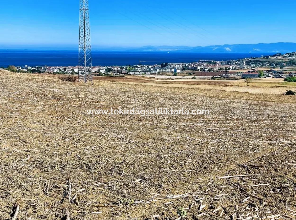 Tekirdağ Barbaros'ta Bulunan 21,900 M2 Arsa, Asyaport Limanı Mevcut İmar Planı İçinde Yer Almaktadır