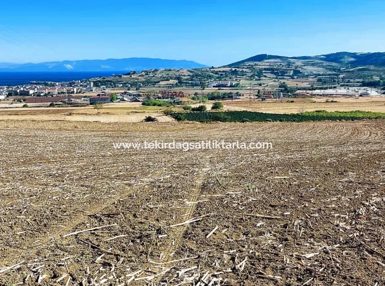 Tekirdağ Barbaros'ta Bulunan 21,900 M2 Arsa, Asyaport Limanı Mevcut İmar Planı İçinde Yer Almaktadır