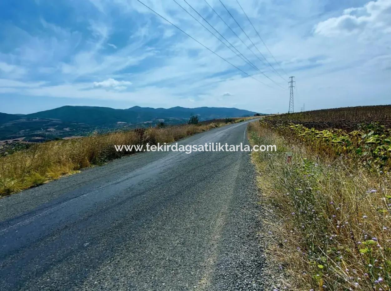 Tekirdağ Çanakçı Mahallesinde Anayol Cepheli 10.500 M2 Yatırımlık Tarla