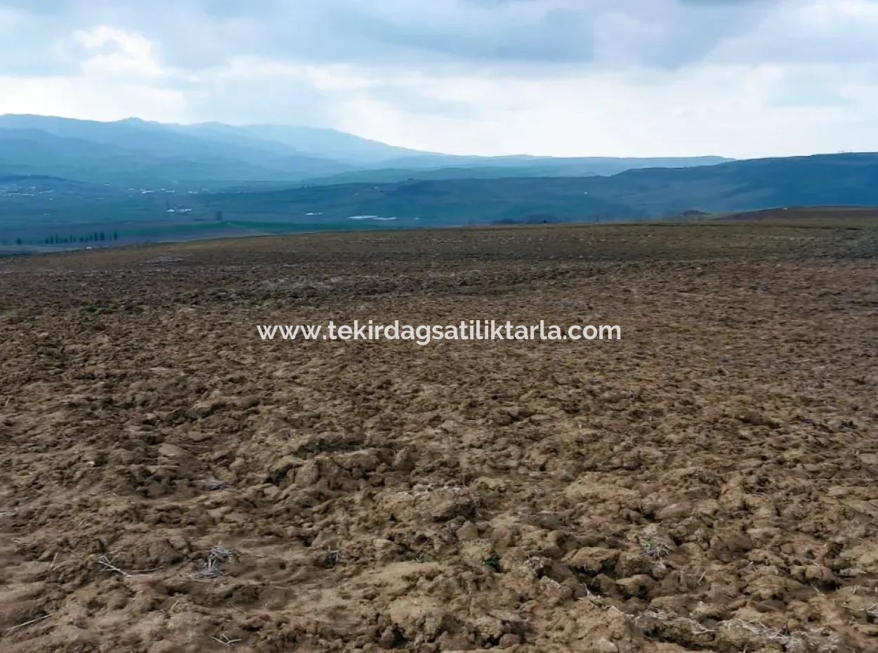 Tekirdağ Barbaros Bölgesinde Asyaport Limanı Mevcut İmar Planı İçinde Ticari Ve Sanayi Alanı Yatırım Fırsatı