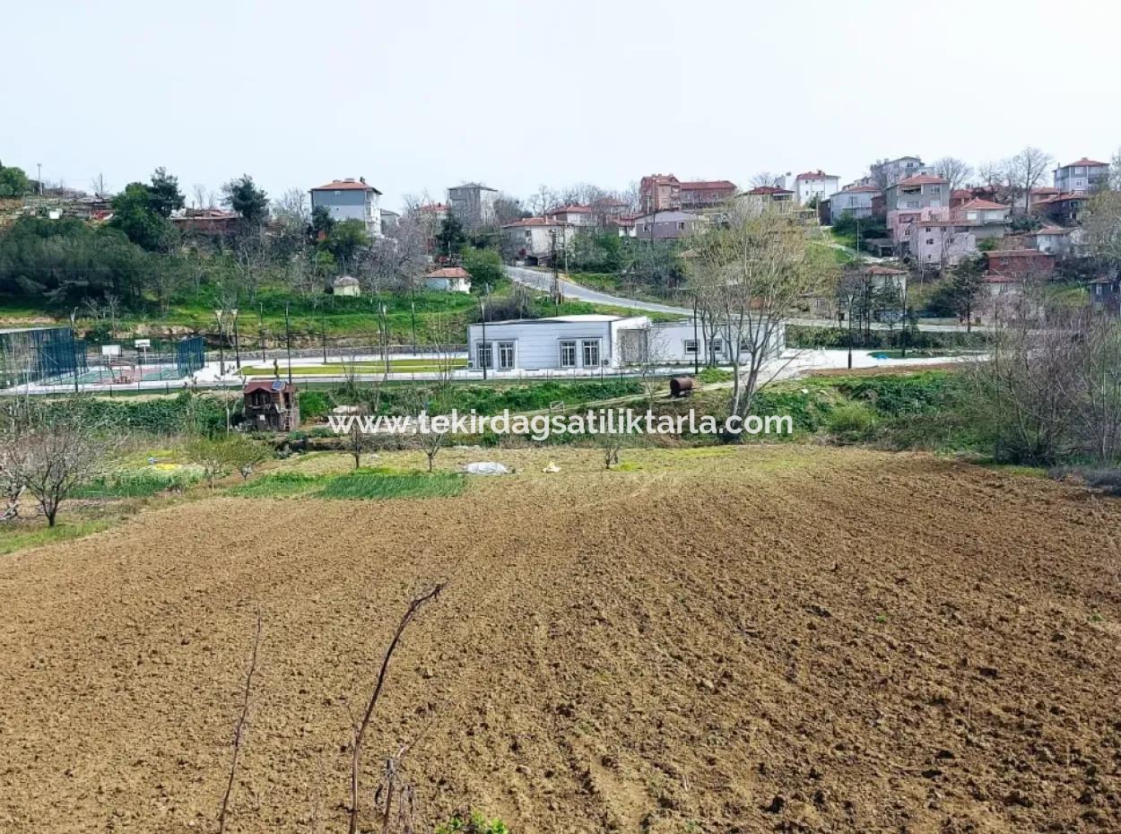 Asyaport Limanına Çok Yakın Yüksek Kazanç Garantisi Konut İmarlı Yer