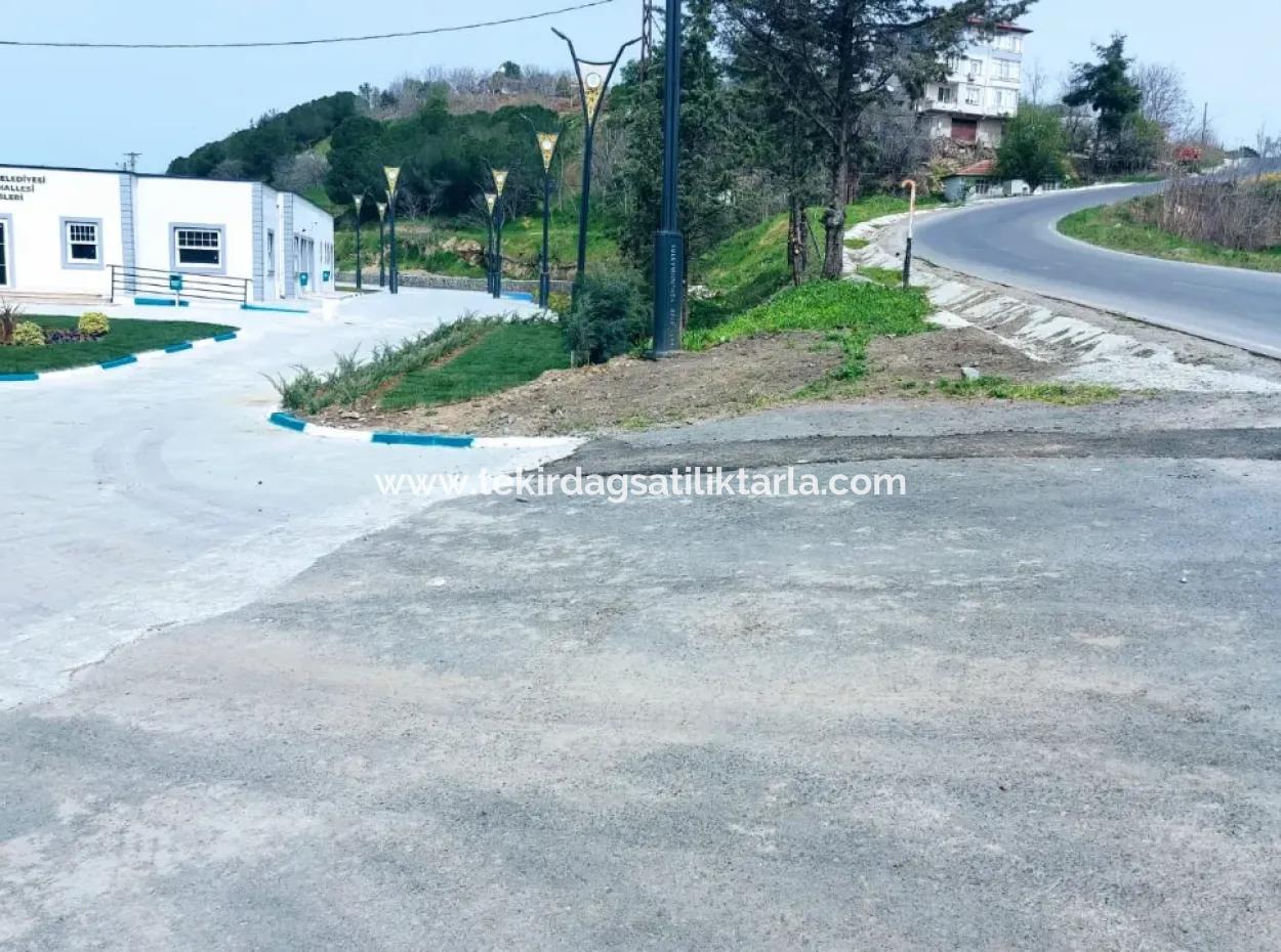 Asyaport Limanına Çok Yakın Yüksek Kazanç Garantisi Konut İmarlı Yer