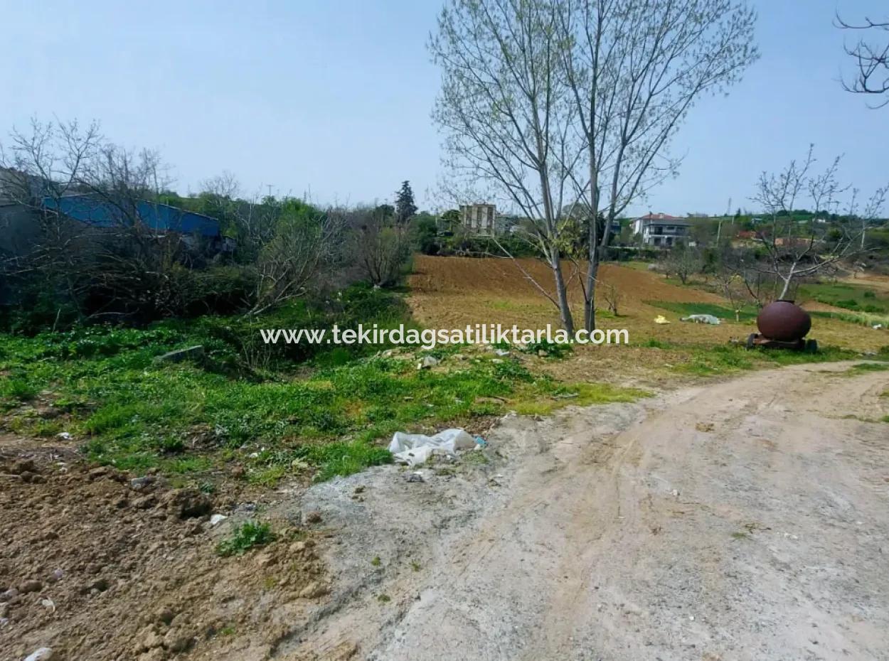 Asyaport Limanına Çok Yakın Yüksek Kazanç Garantisi Konut İmarlı Yer