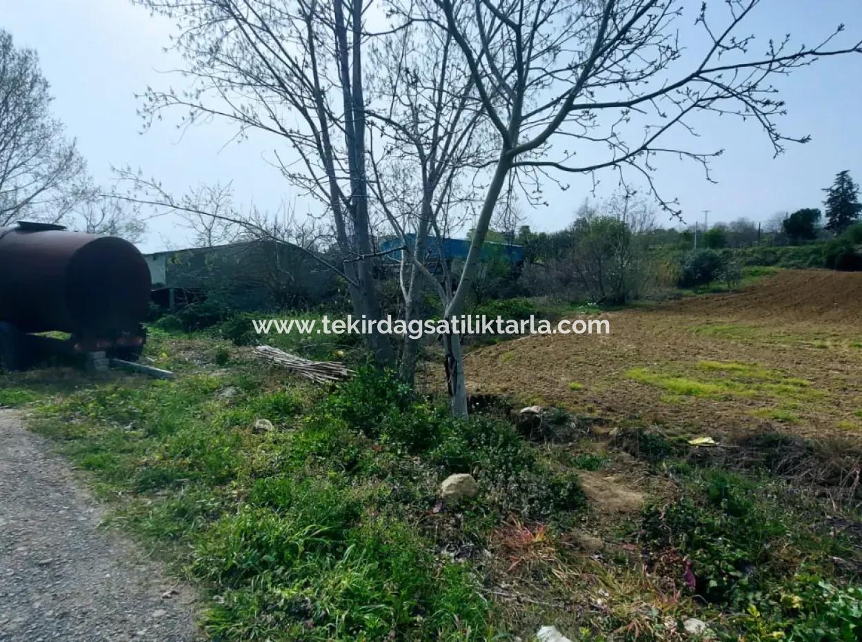 Asyaport Limanına Çok Yakın Yüksek Kazanç Garantisi Konut İmarlı Yer