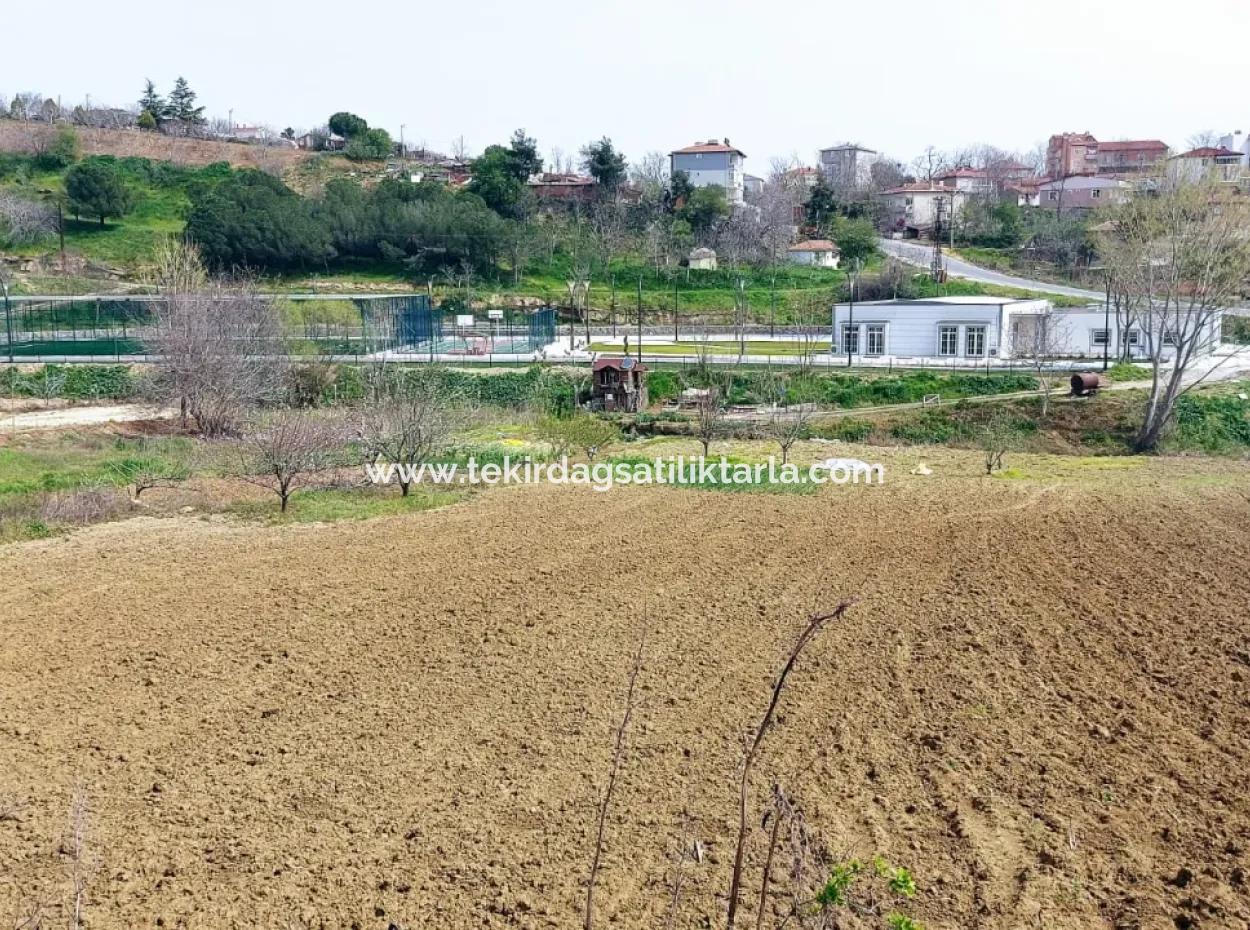 Asyaport Limanına Çok Yakın Yüksek Kazanç Garantisi Konut İmarlı Yer