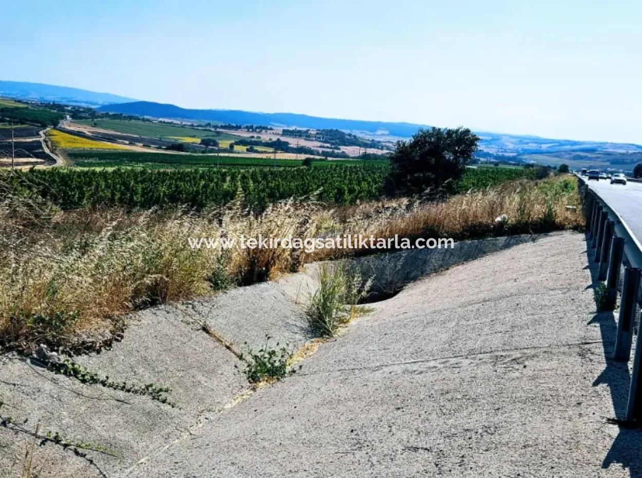 Tekirdağ Aşağkılıçlı Mah. Anayol Cepheli 2.340 M2 Al - Sata Uygun Yüksek Kazanç Vaaed Eden Acil Satılık Kupon Tarla