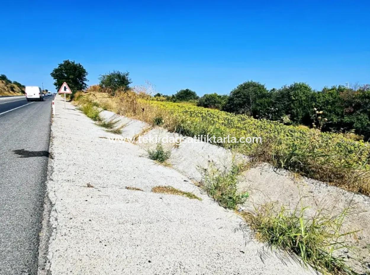 Tekirdağ Aşağkılıçlı Mah. Anayol Cepheli 2.340 M2 Al - Sata Uygun Yüksek Kazanç Vaaed Eden Acil Satılık Kupon Tarla