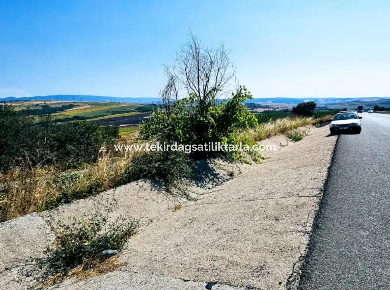 Tekirdağ Aşağkılıçlı Mah. Anayol Cepheli 2.340 M2 Al - Sata Uygun Yüksek Kazanç Vaaed Eden Acil Satılık Kupon Tarla
