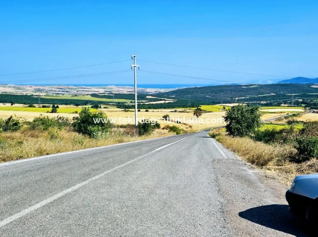 Tekirdağ Aşağkılıçlı Mah. Anayol Cepheli 2.340 M2 Al - Sata Uygun Yüksek Kazanç Vaaed Eden Acil Satılık Kupon Tarla