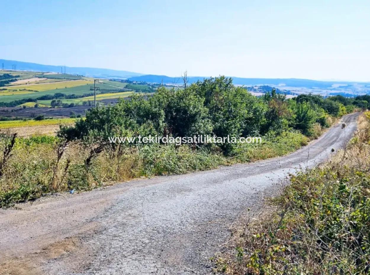Tekirdağ Aşağkılıçlı Mah. Anayol Cepheli 2.340 M2 Al - Sata Uygun Yüksek Kazanç Vaaed Eden Acil Satılık Kupon Tarla