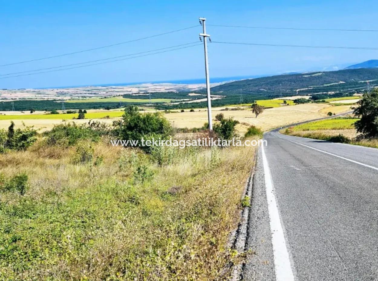 Tekirdağ Aşağkılıçlı Mah. Anayol Cepheli 2.340 M2 Al - Sata Uygun Yüksek Kazanç Vaaed Eden Acil Satılık Kupon Tarla