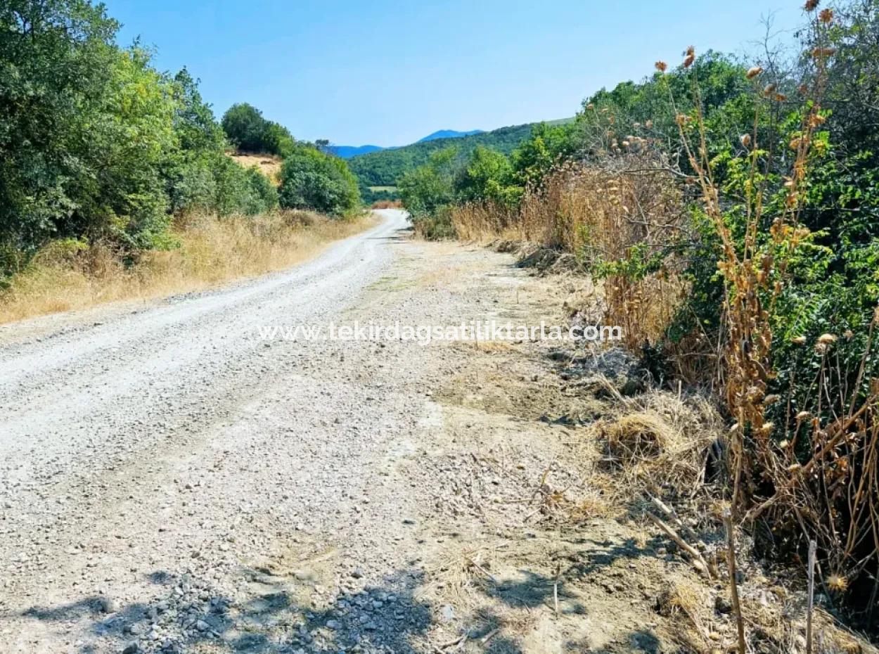 Tekirdağ Çanakçı Mahallesinde Kazançlı Yatırım Yapmak İsteyenler İçin Acil Satılık Kelepir Kopon Tarla