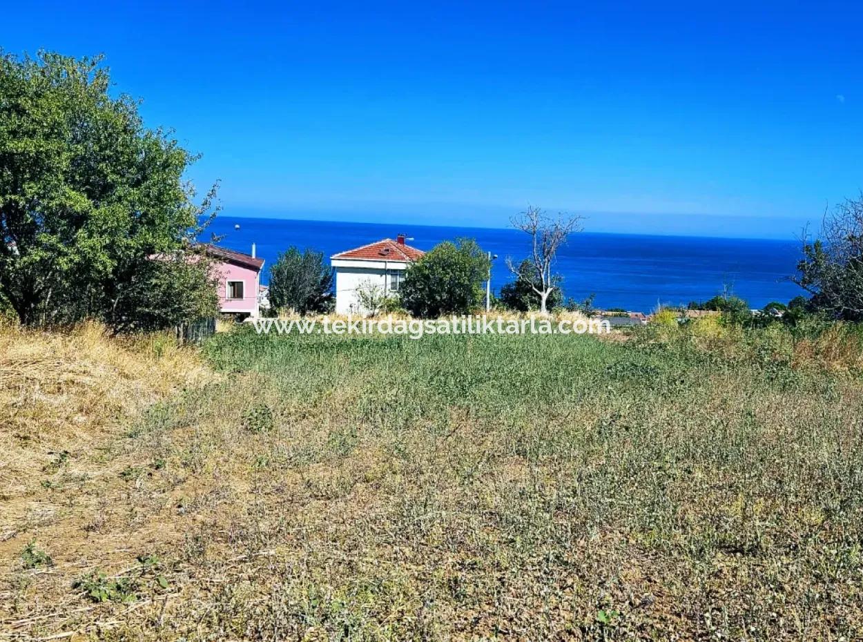 Tekirdağ Barbarosta Acil Satılık 4 Tarafı Yol Cephe Tatırımlık Yer Arayanlar İçin Kaçırılmayacak Fırsat