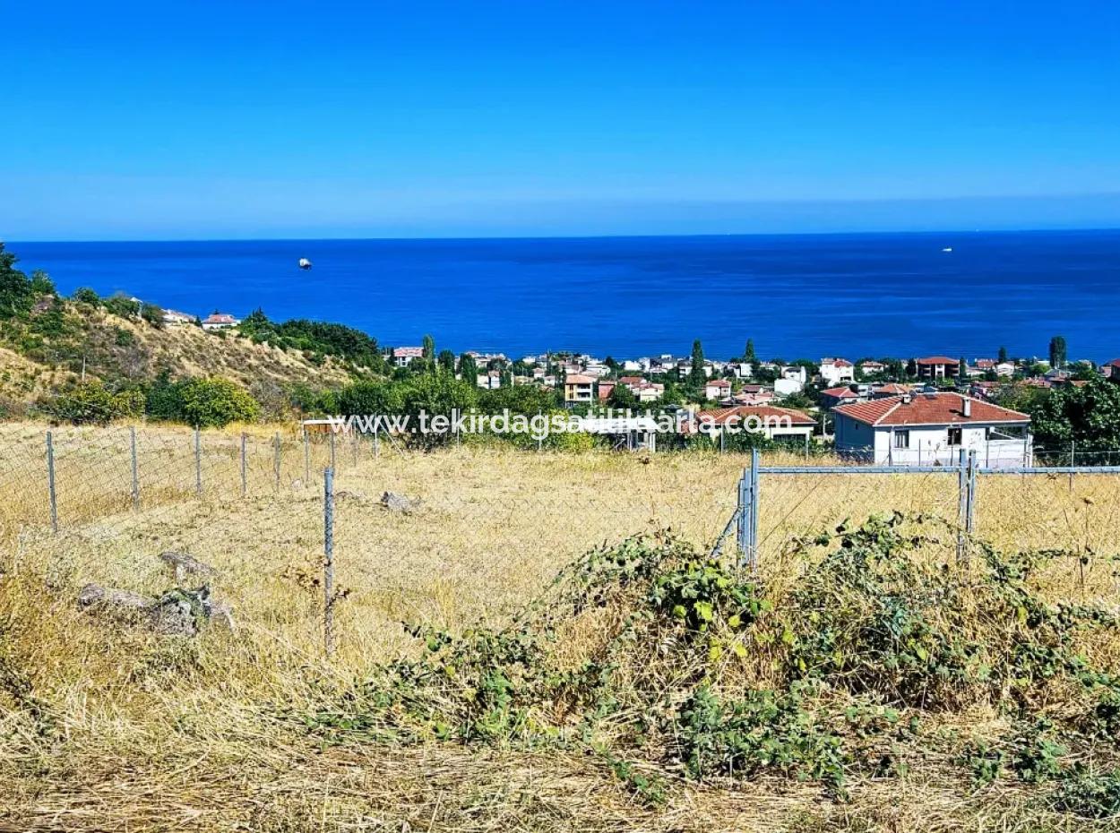 Tekirdağ Barbarosta Acil Satılık 4 Tarafı Yol Cephe Tatırımlık Yer Arayanlar İçin Kaçırılmayacak Fırsat