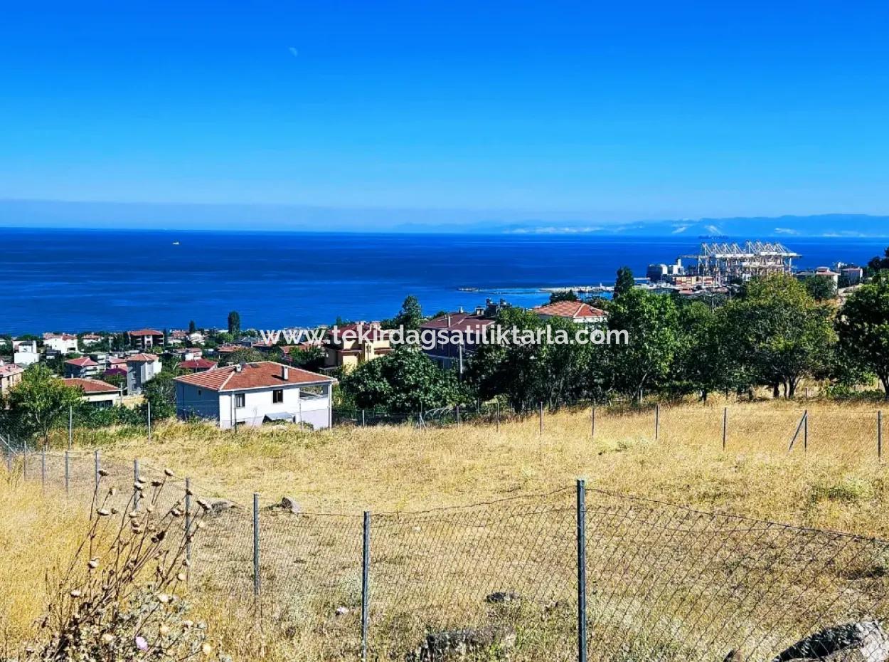 Tekirdağ Barbarosta Acil Satılık 4 Tarafı Yol Cephe Tatırımlık Yer Arayanlar İçin Kaçırılmayacak Fırsat