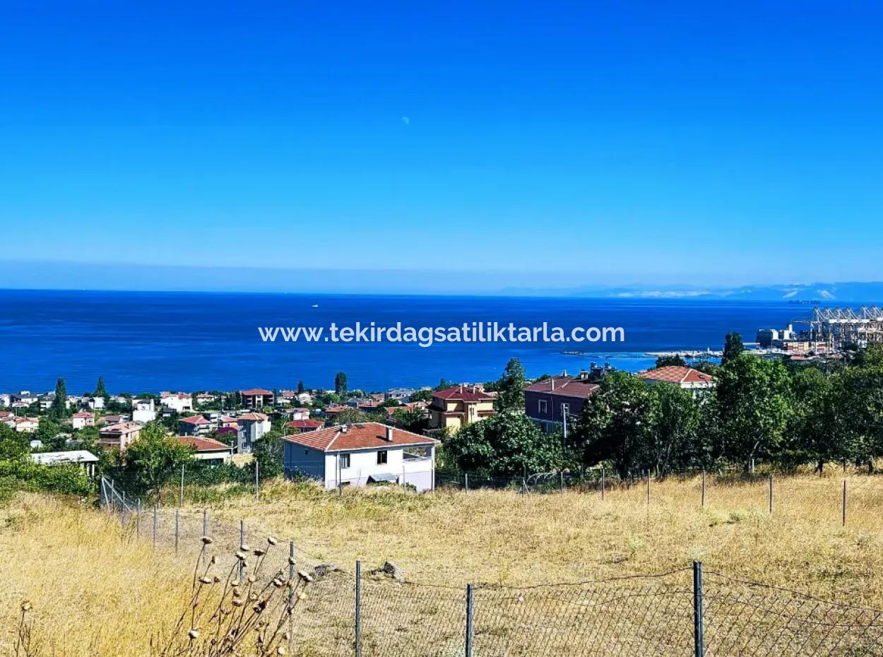 Tekirdağ Barbarosta Acil Satılık 4 Tarafı Yol Cephe Tatırımlık Yer Arayanlar İçin Kaçırılmayacak Fırsat