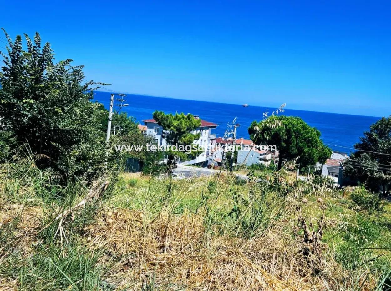 Tekirdağ Barbarosta Acil Satılık Anayol Cepheli Ticari + Konut İmarlı [ Bitişik Nizam ] 85 Dairelik Yüksek Kazanç Garantisi