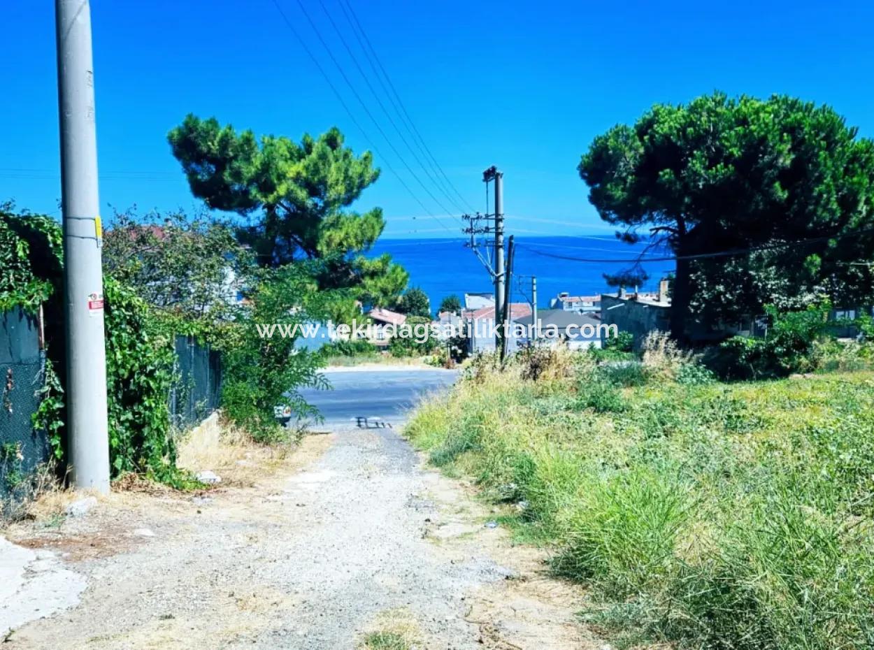 Tekirdağ Barbarosta Acil Satılık Anayol Cepheli Ticari + Konut İmarlı [ Bitişik Nizam ] 85 Dairelik Yüksek Kazanç Garantisi