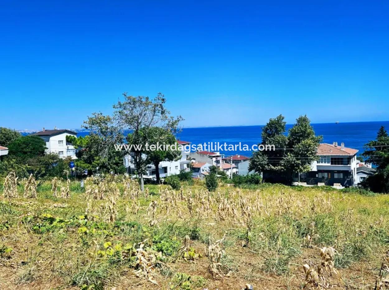 Tekirdağ Barbarosta Acil Satılık Anayol Cepheli Ticari + Konut İmarlı [ Bitişik Nizam ] 85 Dairelik Yüksek Kazanç Garantisi