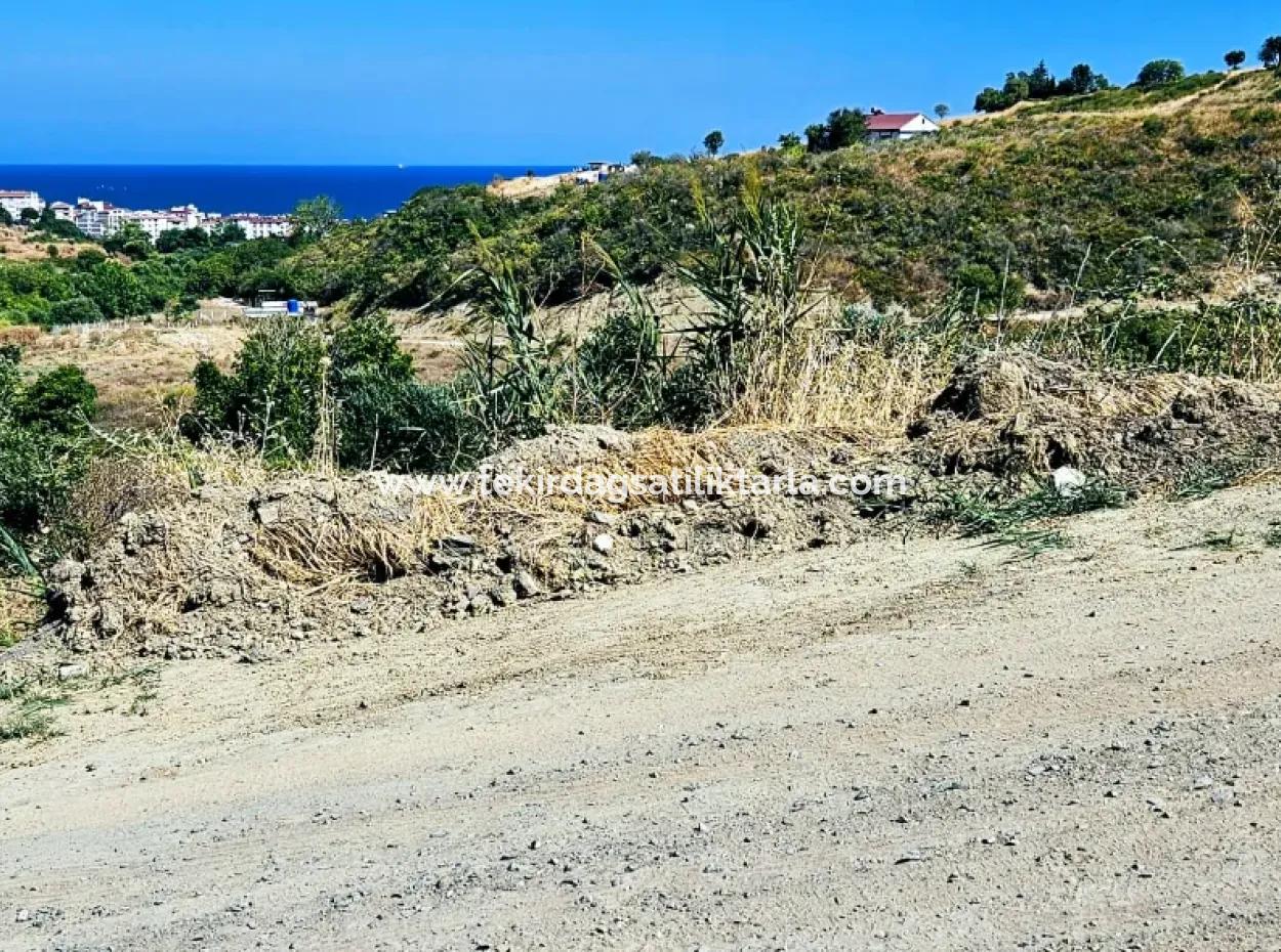 Tekirdağ Barbarosta Acil Satılık 9.100 M2 Villa İmarlı Tarla