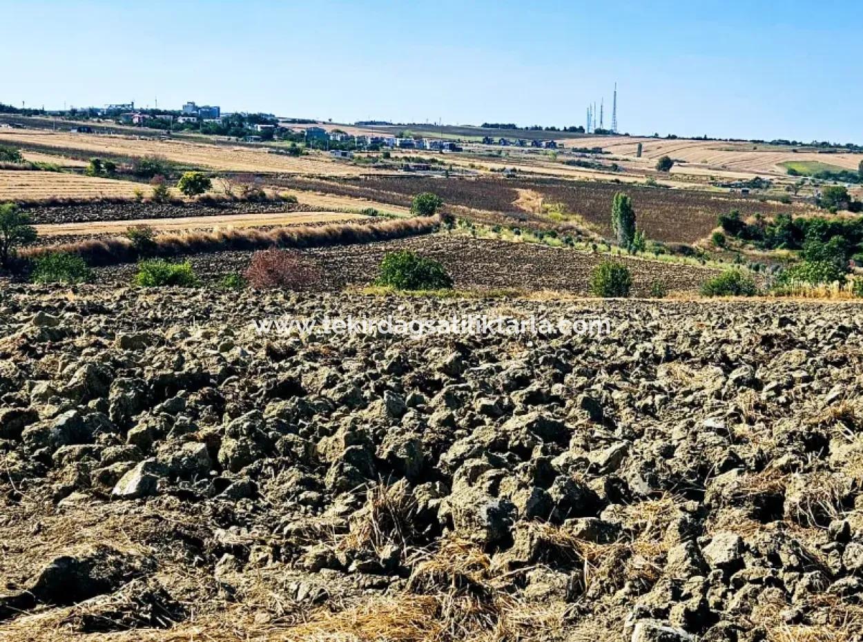 Tekirdağ Barbarosta Acil Satılık 2.650 M2 Villa İmarlı Yatırıma Uygun Kupon Tarla
