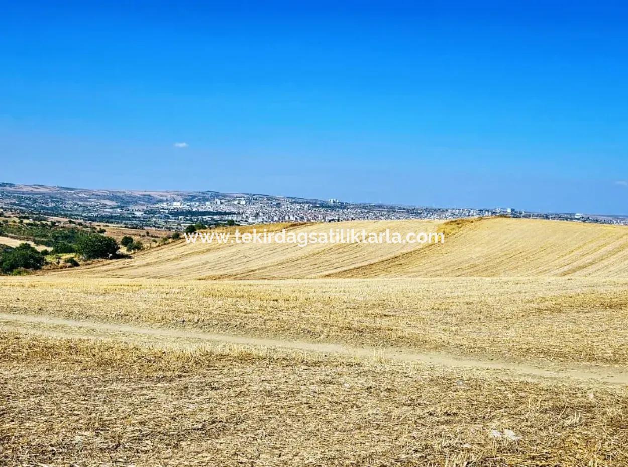 Tekirdağ Barbarosta Acil Satılık 2.650 M2 Villa İmarlı Yatırıma Uygun Kupon Tarla
