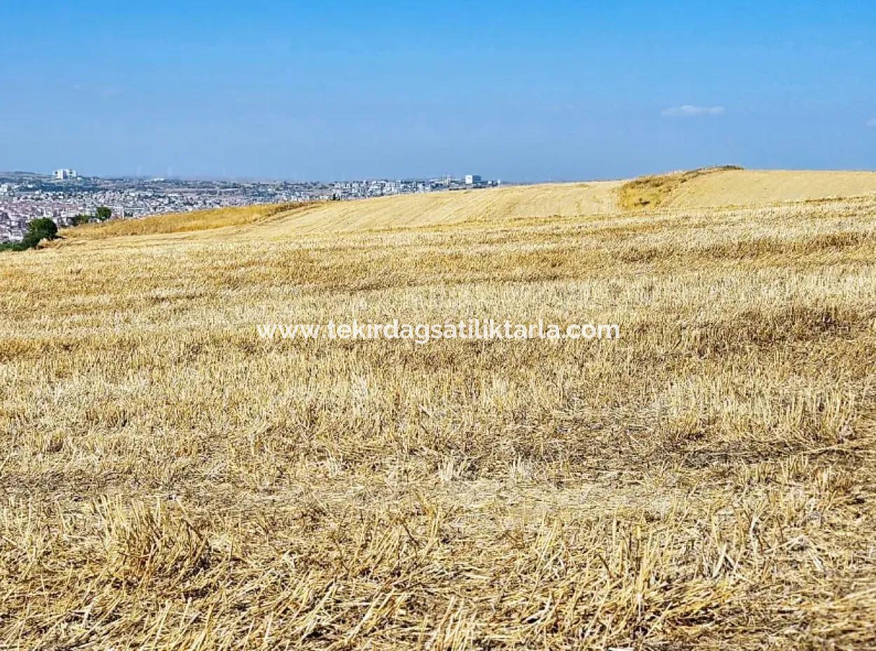 Tekirdağ Barbarosta Acil Satılık 2.650 M2 Villa İmarlı Yatırıma Uygun Kupon Tarla