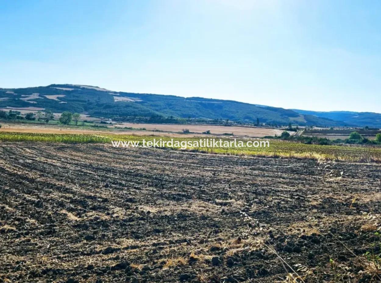 Asyaport Limanı Mevcut İmara Çok Yakın Yatırımlık Yapmak İsteyenler İçin Kaçırılmayacak Fırsat Arazi