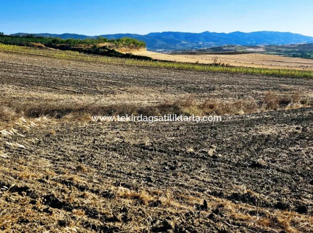 Asyaport Limanı Mevcut İmara Çok Yakın Acil Satılık 17.350 M2 Kelepir Yatırımlık Kupon Tarla