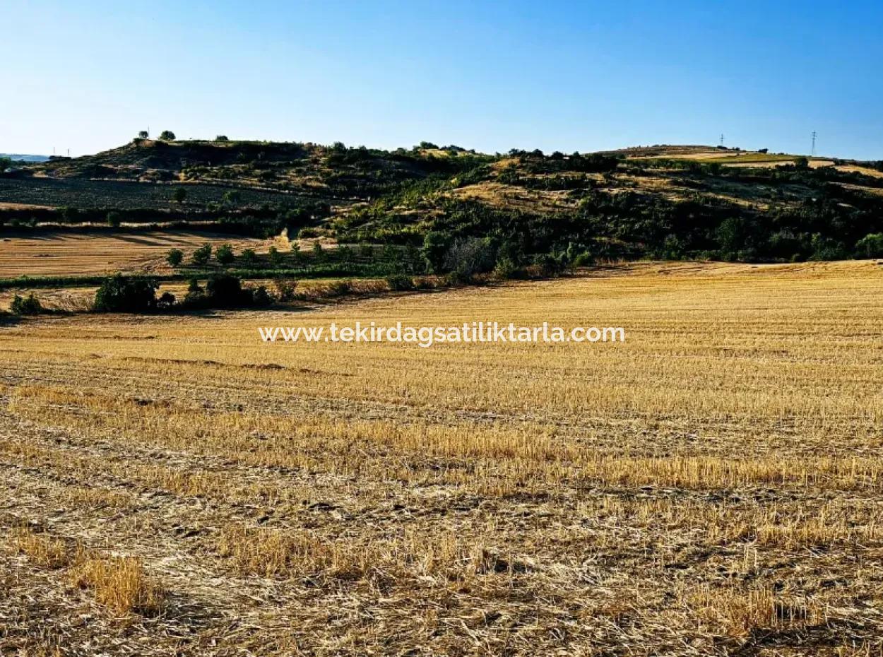 Asyaport Limanı Mevcut İmara Yakın 16.100 Acil Satılık Yatırımlık Kelepir Kupon Tarla