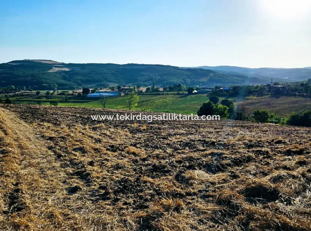 Asyaport Limanı Mevcut İmara Yakın 16.100 Acil Satılık Yatırımlık Kelepir Kupon Tarla