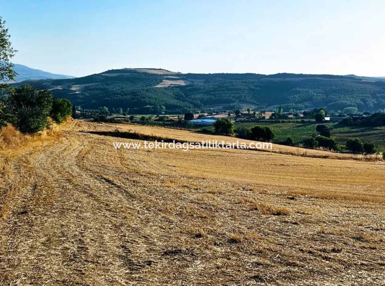 Asyaport Limanı Mevcut İmara Yakın 16.100 Acil Satılık Yatırımlık Kelepir Kupon Tarla