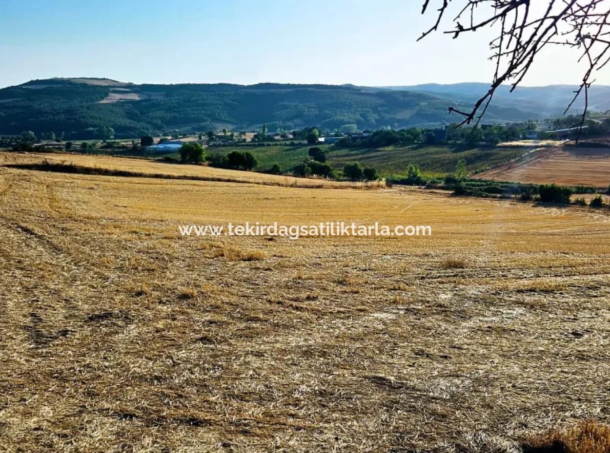 Asyaport Limanı Mevcut İmara Yakın 16.100 Acil Satılık Yatırımlık Kelepir Kupon Tarla