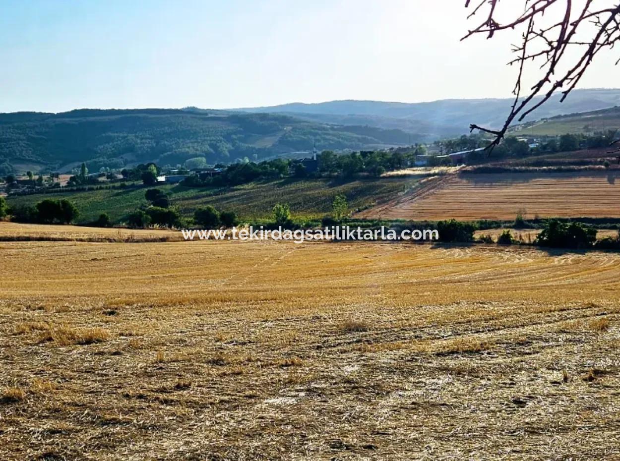 Asyaport Limanı Mevcut İmara Yakın 16.100 Acil Satılık Yatırımlık Kelepir Kupon Tarla
