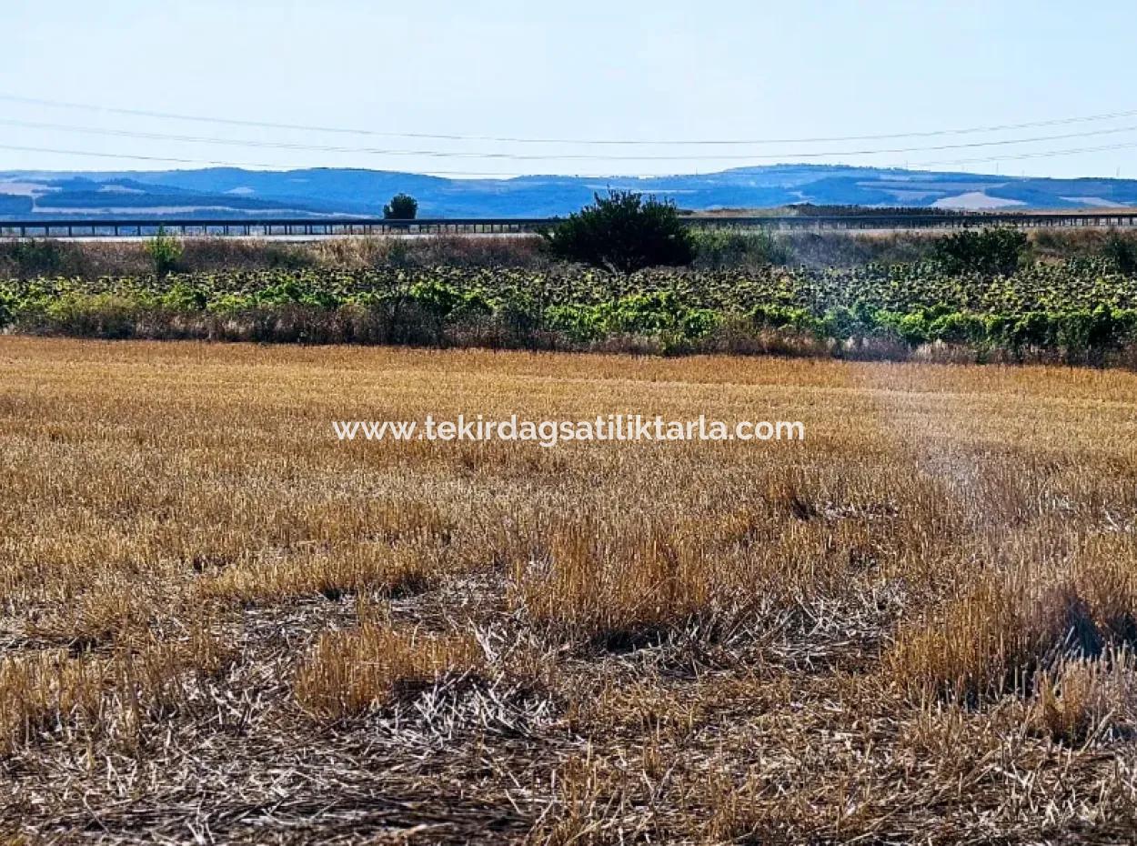 Asyaport Limanı Mevcut İmar Planı İçinde ( Ticari & Sanai ) Alanı Yatırımlık Kupon 8.100 M2 Tarla