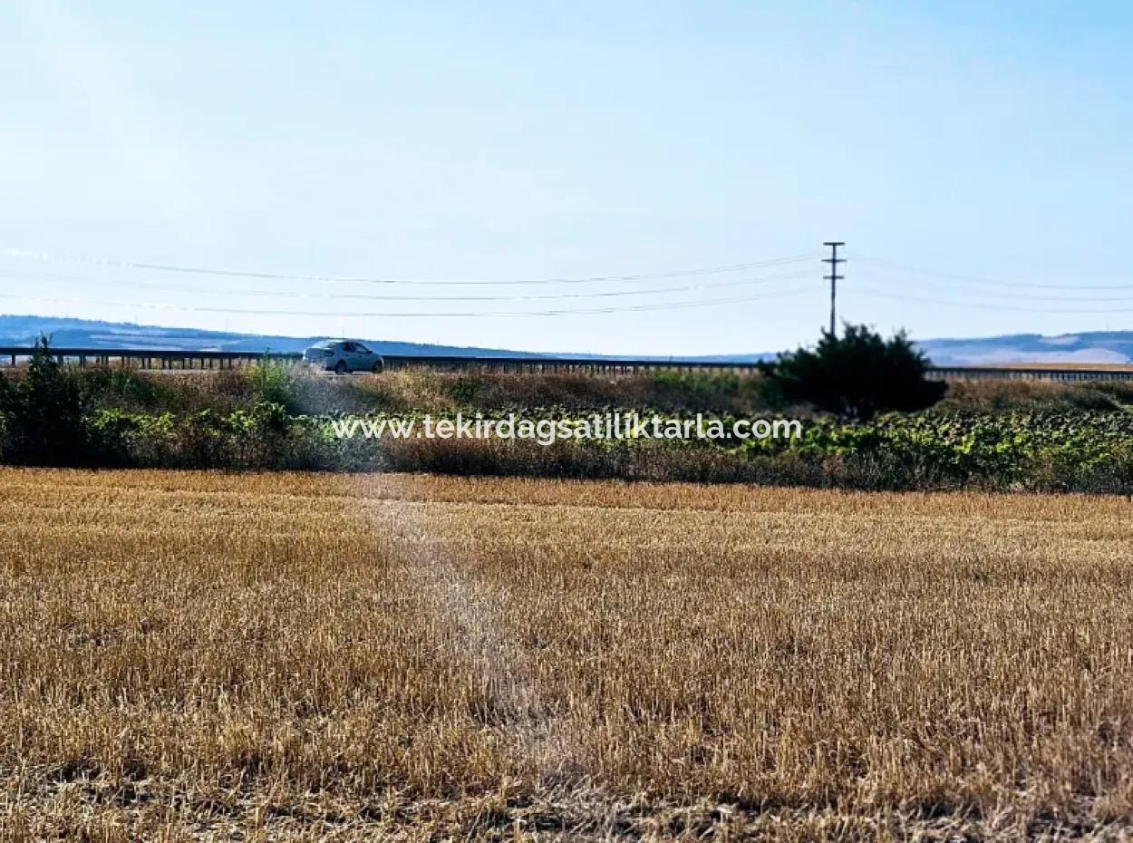 Asyaport Limanı Mevcut İmar Planı İçinde ( Ticari & Sanai ) Alanı Yatırımlık Kupon 8.100 M2 Tarla