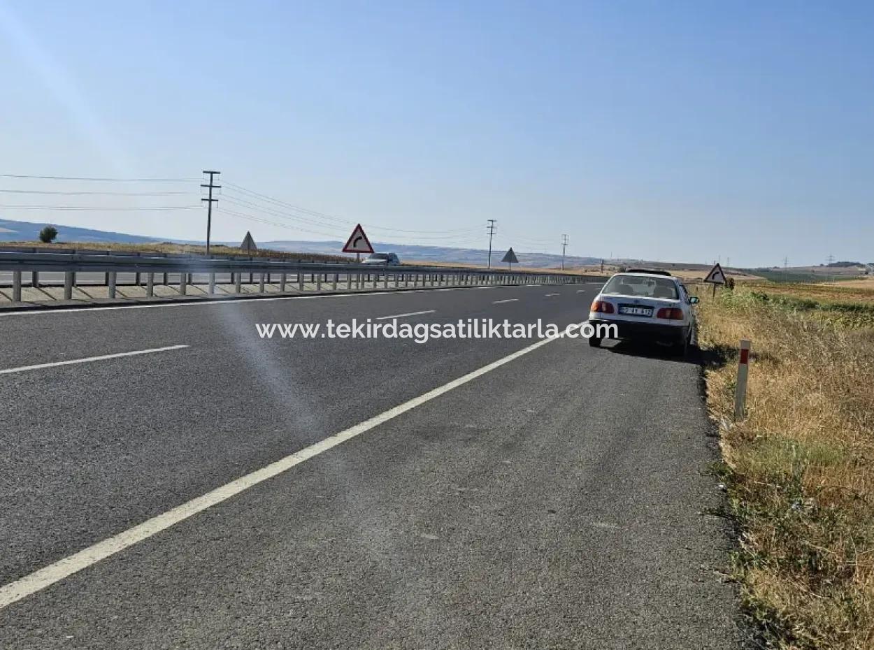 Asyaport Limanı Mevcut İmar Planı İçinde ( Ticari & Sanai ) Alanı Yatırımlık Kupon 8.100 M2 Tarla