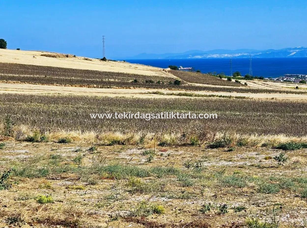 Asyaport Limanı Mevcut İmar Planı İçinde ( Ticari & Sanai ) Alanı Bölgedinde Acil Satılık 6.400 M2 Yatırım Fırsatı