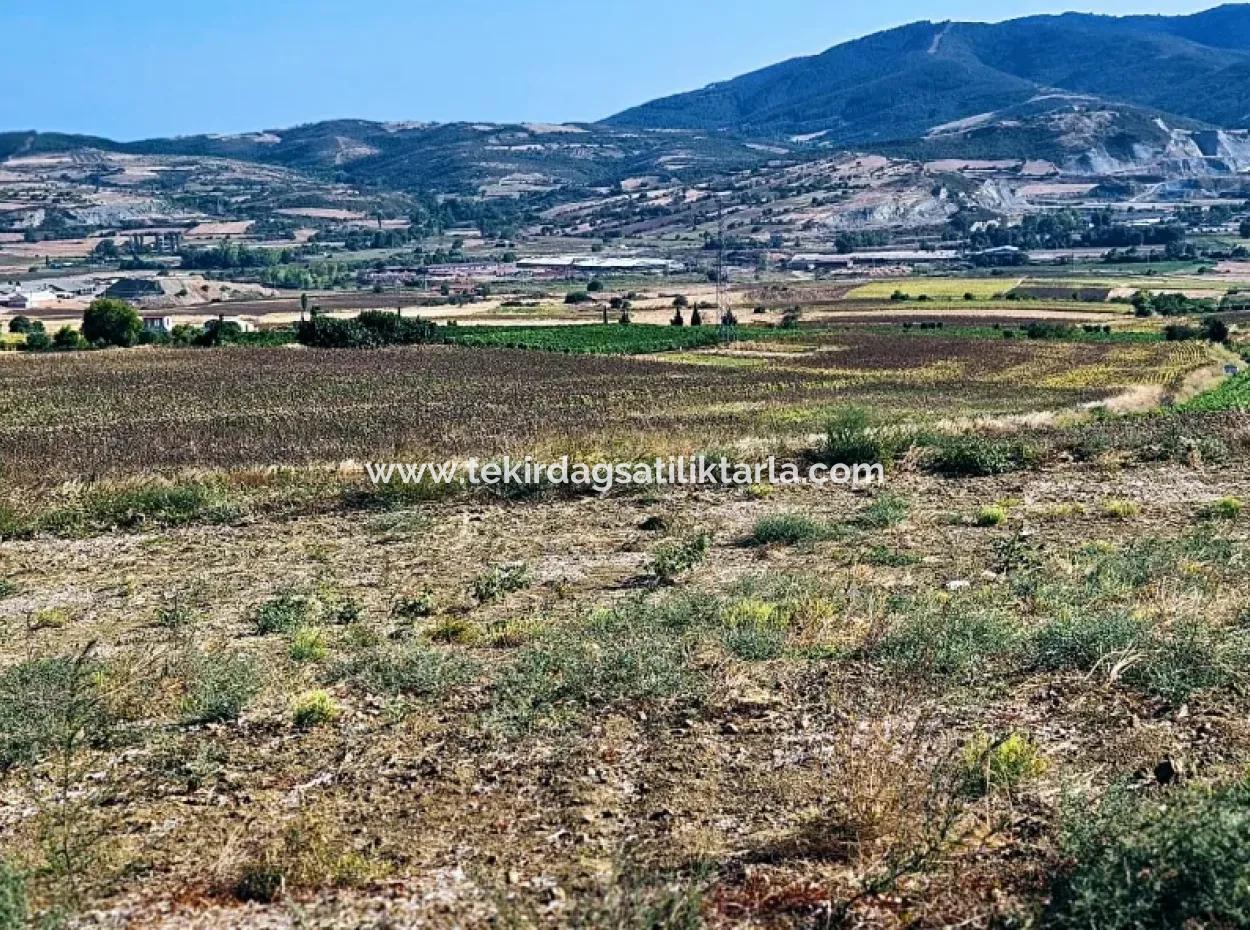 Asyaport Limanı Mevcut İmar Planı İçinde ( Ticari & Sanai ) Alanı Bölgedinde Acil Satılık 6.400 M2 Yatırım Fırsatı