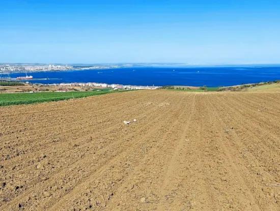 Tekirdağ Barbarosta Lüxs Villa Projeni Yap. Mütahitlere Kat Karşılığı Ver  Yüksek Kazanç Sağla Full Deniz Manzaralı Villa İmarlı Arazi