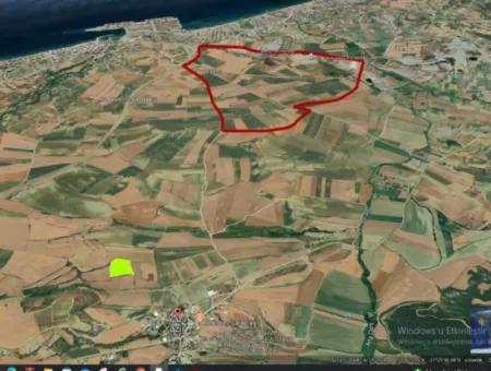 Asyaport Limanı Mevcut İmara Yakın 16.100 Acil Satılık Yatırımlık Kelepir Kupon Tarla