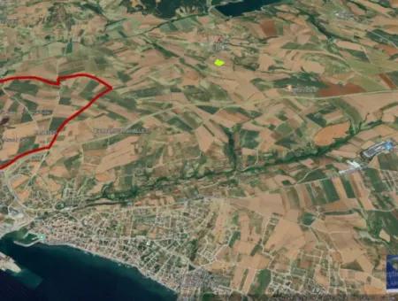 Asyaport Limanı Mevcut İmara Yakın 16.100 Acil Satılık Yatırımlık Kelepir Kupon Tarla