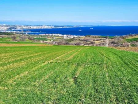 Tekirdağ Barbarosta Lüxs Villa Projeni Yap. Mütahitlere Kat Karşılığı Ver  Yüksek Kazanç Sağla Full Deniz Manzaralı Villa İmarlı Arazi