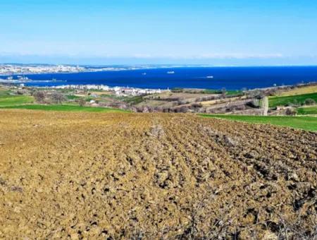 Tekirdağ Barbarosta Lüxs Villa Projeni Yap. Mütahitlere Kat Karşılığı Ver  Yüksek Kazanç Sağla Full Deniz Manzaralı Villa İmarlı Arazi