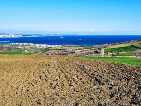 Tekirdağ Barbarosta Lüxs Villa Projeni Yap. Mütahitlere Kat Karşılığı Ver  Yüksek Kazanç Sağla Full Deniz Manzaralı Villa İmarlı Arazi