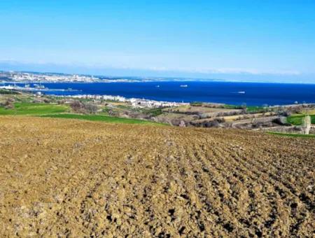 Tekirdağ Barbarosta Lüxs Villa Projeni Yap. Mütahitlere Kat Karşılığı Ver  Yüksek Kazanç Sağla Full Deniz Manzaralı Villa İmarlı Arazi