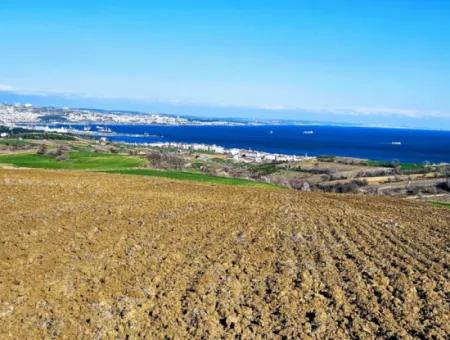 Tekirdağ Barbarosta Lüxs Villa Projeni Yap. Mütahitlere Kat Karşılığı Ver  Yüksek Kazanç Sağla Full Deniz Manzaralı Villa İmarlı Arazi