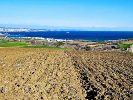 Tekirdağ Barbarosta Lüxs Villa Projeni Yap. Mütahitlere Kat Karşılığı Ver  Yüksek Kazanç Sağla Full Deniz Manzaralı Villa İmarlı Arazi