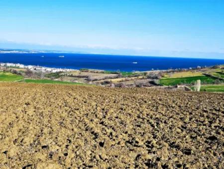 Tekirdağ Barbarosta Lüxs Villa Projeni Yap. Mütahitlere Kat Karşılığı Ver  Yüksek Kazanç Sağla Full Deniz Manzaralı Villa İmarlı Arazi