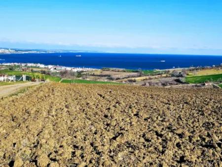 Tekirdağ Barbarosta Lüxs Villa Projeni Yap. Mütahitlere Kat Karşılığı Ver  Yüksek Kazanç Sağla Full Deniz Manzaralı Villa İmarlı Arazi
